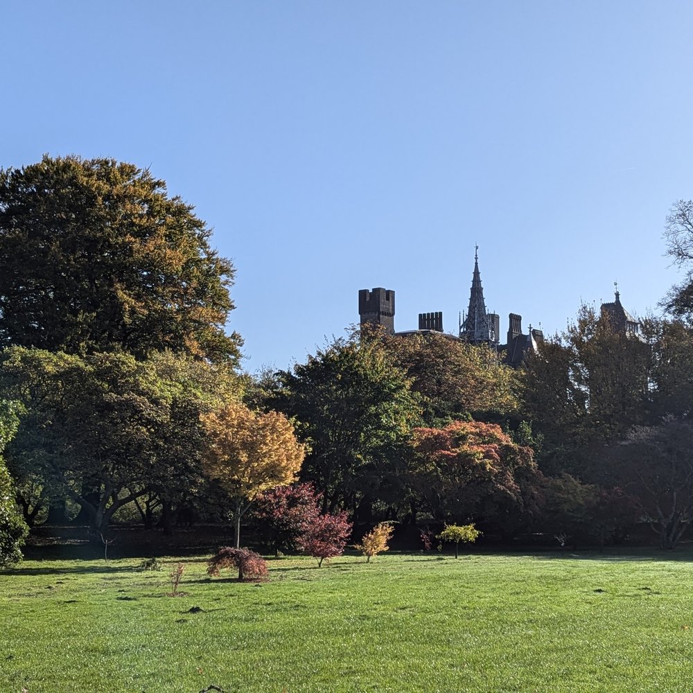 Autumn parkland in Cardiff, with the castle towers visible above the treeline